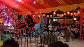 Barongsai HTT - Pasar malam Imlek 巴東春節夜市