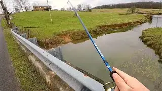 Fishing off Country Creek Bridges (New Setup)