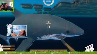 Road to 365 days RAFT (Day 193) - PANDA POV