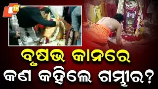 Gautam Gambhir Pays Devotional Visit to Baba Mahakal Shrine, Shares His Heartfelt Thoughts
