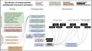 SIADH (mechanism of disease)