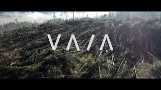 VAIA - Wind / Storm / Falling Trees