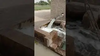 Electric tubewell #Shorts || Machines visit