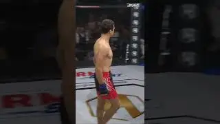 Borislav Nikolic's striking masterclass! 💥 #bravecf #shorts #mma