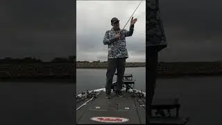 PLASTIC WORM FISHING #shorts #fishing