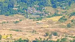 Doti diple salena