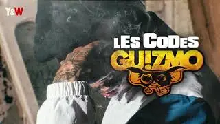 GUIZMO &laquo;&nbsp;LES CODES&nbsp;&raquo;