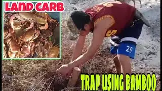 #LandCrab #Kuray #Kungo #BambooTrap       PAG-TATRAP NG LAND CRAB O KURAY/KUNGO USING BAMBOO TRAP