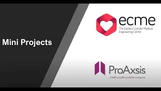 INTERREG VA ECME Mini Projects COVID 19 Response: ProAxsis