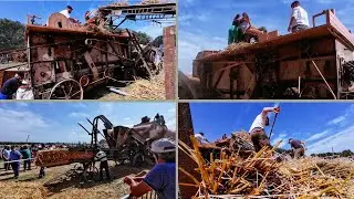 Antic&rsquo;Agri 2025 (3/5) | Battage &agrave; l&rsquo;ancienne SFV (gros son direct)) | Dji Osmo Action 4