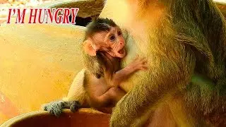 BABY BOBBY SO HUNGRY, BOBBY CRYING ASKING MILK MOM BRINN!