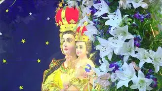 BASILICA OF OUR LADY OF HOLY ROSARY FLAG DISMOUNTING SPL MASS ( 11.10.2025 )