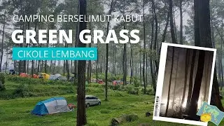 Green Grass Cikole: Surga Camping & Campervan di Tengah Hutan Pinus 🌲🚐