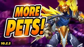 MORE PETS !! Beast Mastery Hunter | Wow 10.2.5 Dragonflight World of Warcraft PvP