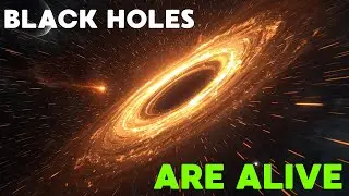 THIS CHANGES EVERYTHING: What James Webb REALLY Saw Near Black Holes (Shocking Discovery)