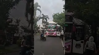 Aktor Sess Tentrem AKDP🔥 Mbalelo Reborn Surabaya-Malang #busakdp #busjawatimuran #shorts #fypシ