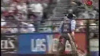 LJ Jenkins Vs. Scaredy Cat