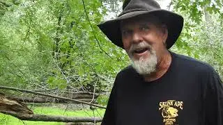 Interview with Skunk Ape Researcher David Shealy