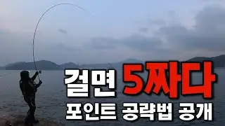 여긴 다르다! 매일 5짜 감성돔이  나오는 특급 포인트!