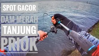 spot Lagi Gacor ‼️ Dam Merah Tanjung priok, cukup mancing di pinggir