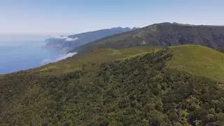 Madeira. Fanal. Laurisilva. Drone 4K.