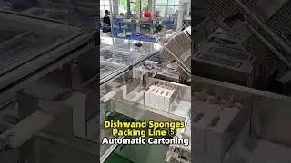 Dishwand Sponge Packing Line ⑤ Automatic Cartoning