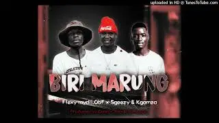 BIRI MARUNG 2.0_(DJ Foster_Concar Rsa & Flexy mydii OBF_Sgeezy & Kgamza)128KBPS