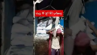 National Floor  Mill Punjab atta aj ka rate 10 kilo 20 kilo #atta #Floor#gandamrate #viral#ytshorts