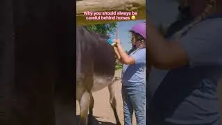 Kid Almost Gets Kicked By Horse 🫣🫣