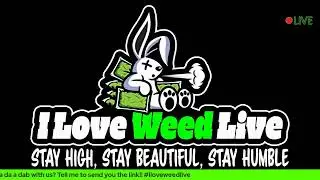 Terpy Tuesday Dab Sesh!! #iloveweedlive
