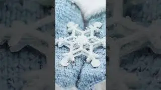 Biggest snowflake ever recorded