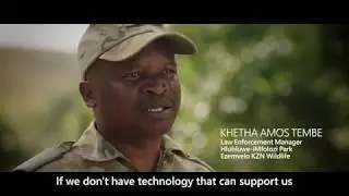 Peace Parks Foundation tackles rhino poaching with Azure Machine Learning