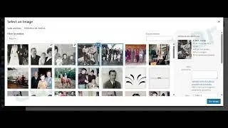 C&oacute;mo crear un ALBUM NUEVO usando Go portfolio