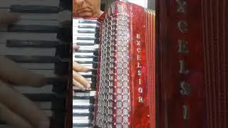 Excelsior 960 Rarity. #accordion