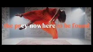 Nowhere To Be Found - The Prey (Official Audio)