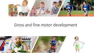 Health & Social Care Lesson 2 Physical Development Infancy