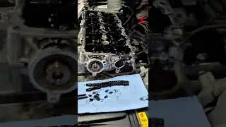 3008 1.5 hdi camshaft chain #automotive #mechanic #autorepair #dieselengine #diesel #cars #shorts