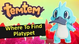 Где найти Platypet | Руководство TemTem