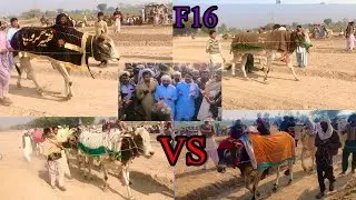 نیو بیل میلہ میلہ ملک ڑکٹر محمد نواز ملک یاسین سیدیلہ Nwe beil rase ada khan ghra 8 January 2025