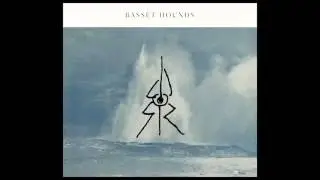 Basset Hounds   Sound