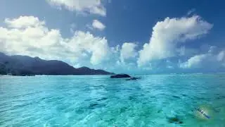 Caminhos da Paz