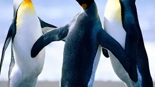 /fnaftube
