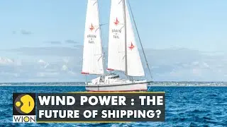 Grain De Sail: Cargo sailboat that runs on wind power | WION Climate Tracker | WION
