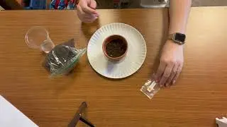 Crafts to Go: Planting Seeds