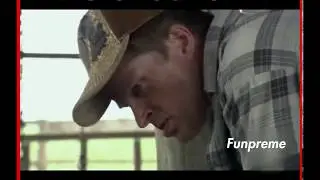 Laughing Cock || Funpreme