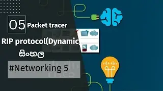 Rip protocol in sinhala (cisco packet tracer 05)