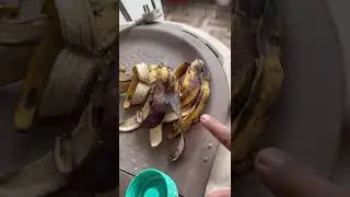 How to Make Banana Peel Bioenzyme
