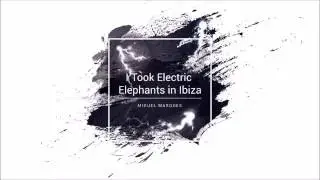 Jay Hardway vs Mike Posner (Seeb Remix) - I Took Electric Elephants in Ibiza