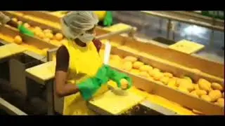 Mango pulp processing plant, JS Engineering, WhatsApp +919677751591,Coimbatore, India