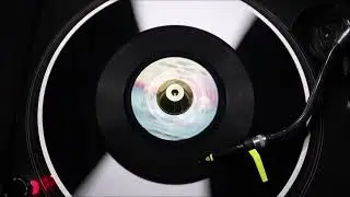 The Radiants &lrm;&ndash; Don't Wanna Face The Truth   Twinight Records &lrm;&ndash; 153 2
